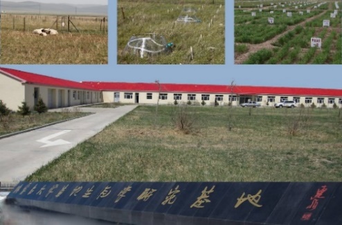 太阳集团2138网址草地生态学研究基地_交杂志